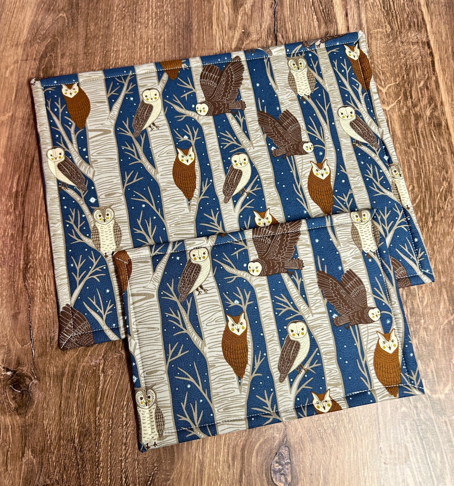 Vinyl Cross Stitch Project Bag - Embroidery bag - Project Bag - Knitting Crochet Bag - Storage - Organizer - Owl Project Bag - Notion