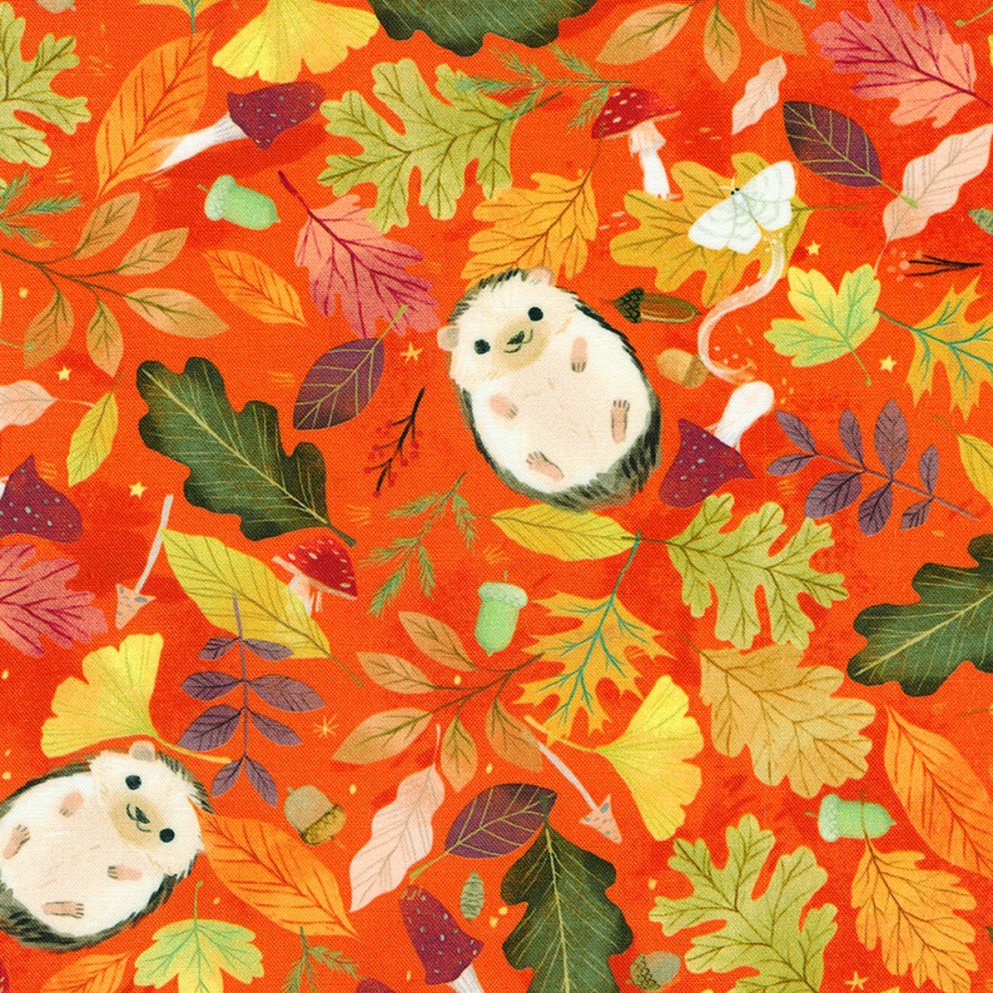 Robert Kaufman Fabric - Forest Feast - Autumn - Hedgehog - Cotton Fabric