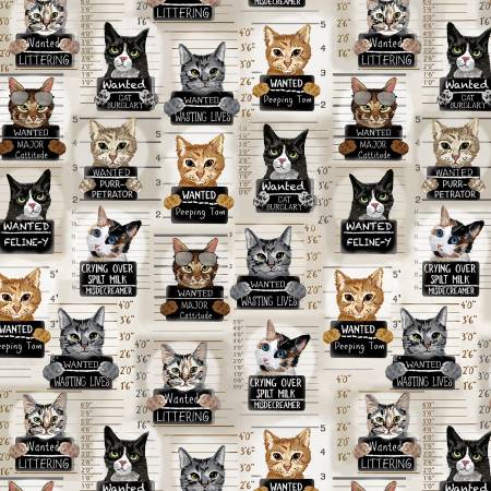 Timeless Treasures Beige Cat Mugshots Fabric - Cats - CD3061 - BEIGE - Cotton Fabric