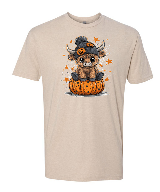 Baby Highland Cow in Pumpkin