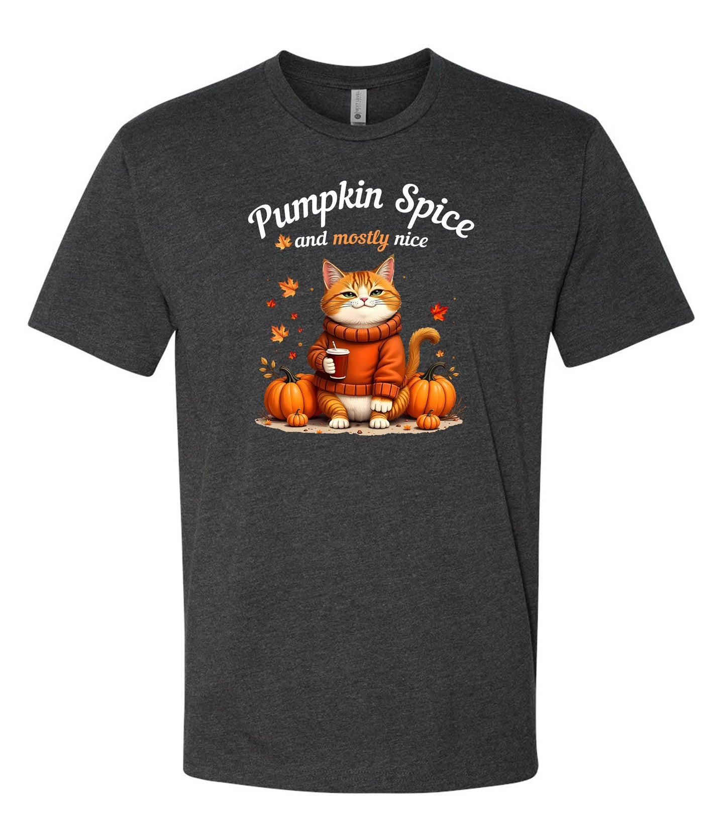 Pumpkin Spice Cat