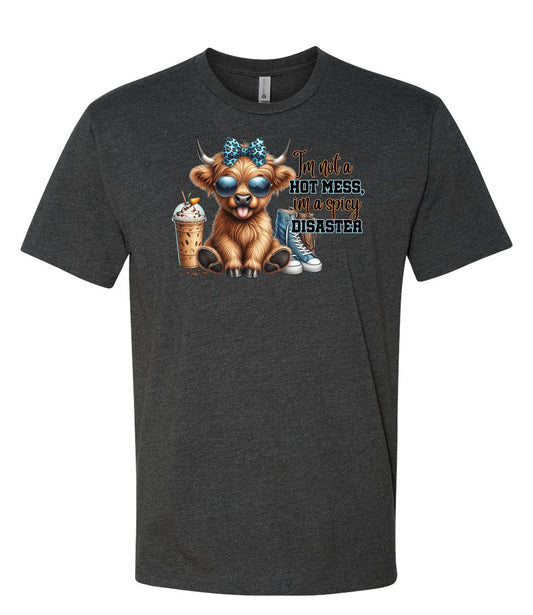 I’m not a Hot Mess I’m a Spicy Disaster